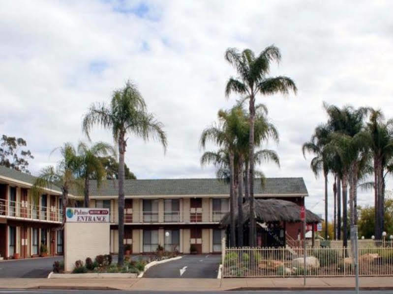 The Palms Motel